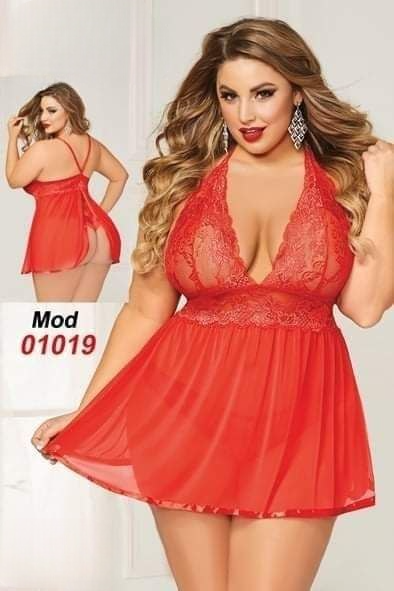 01019 لانجرى شيفون بيج سايز كود